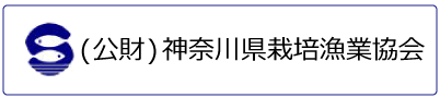 (公財)神奈川県栽培漁業協会