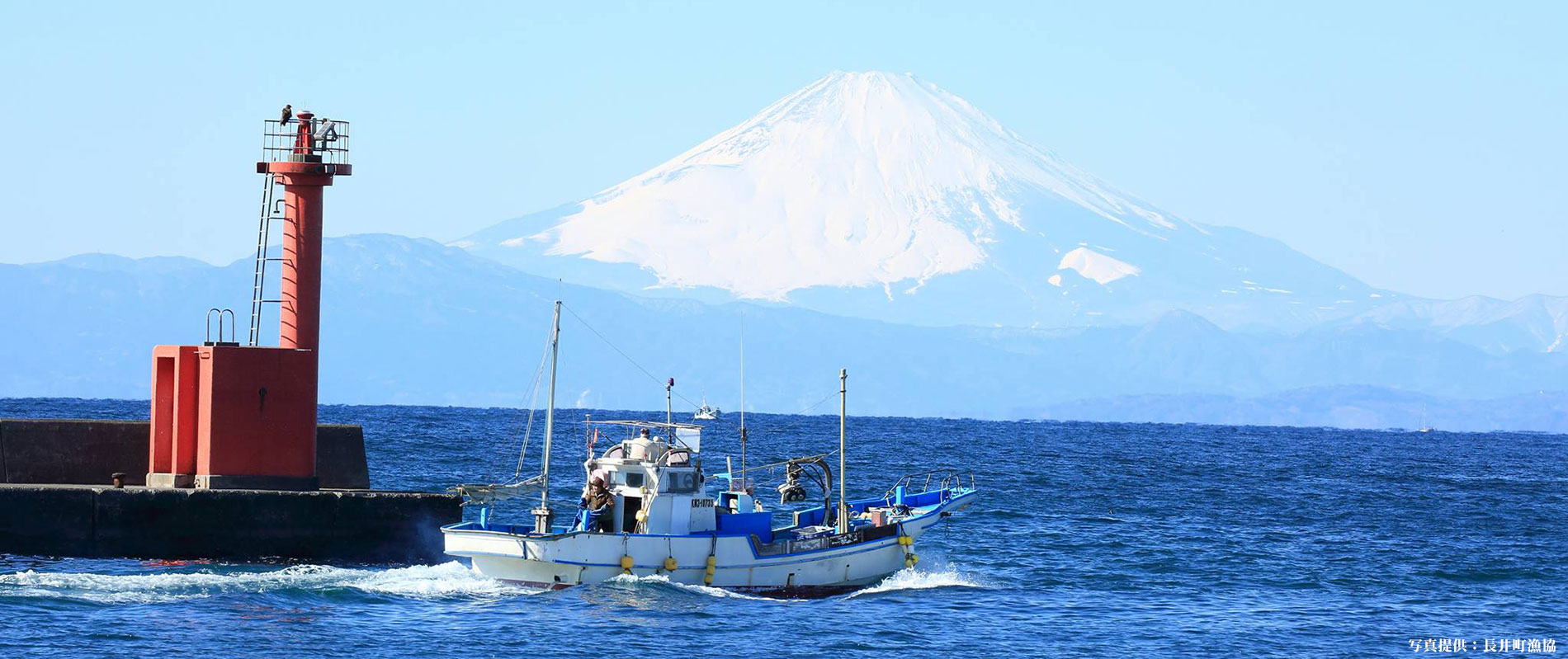 横須賀西部水産振興事業団